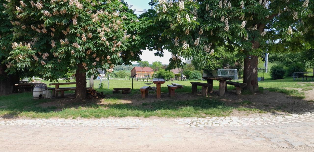 Ubytovani Na Sklepe U Prochazku Pouzdrany Bagian luar foto